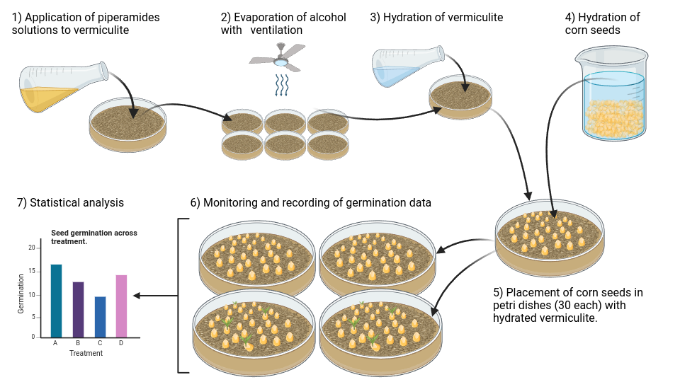 Phytotoxicity 1